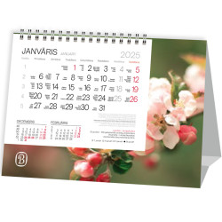 Desk Calendar Tent Spring, Balts