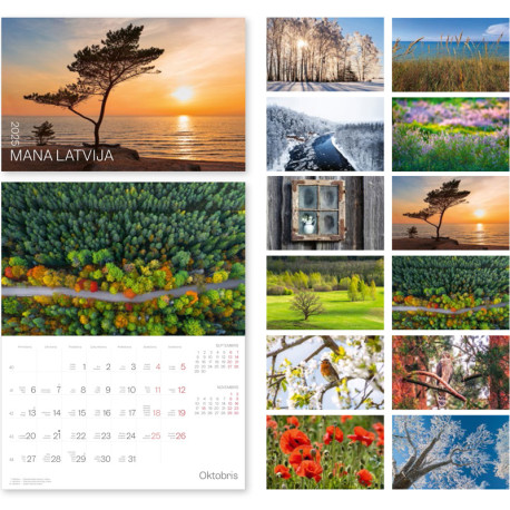 Wall Calendar Latvija, Balts