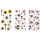 Transparent Sickers Flowers 49pcs., DP Craft