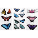 Transparent Sickers Butterflies 15pcs., DP Craft