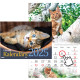 Wall Calendar Cats, Timer