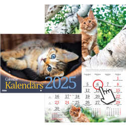 Wall Calendar Cats, Timer