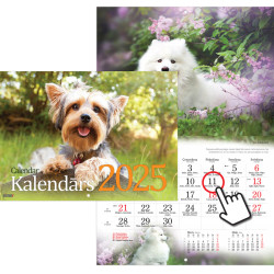 Wall Calendar Dogs, Timer