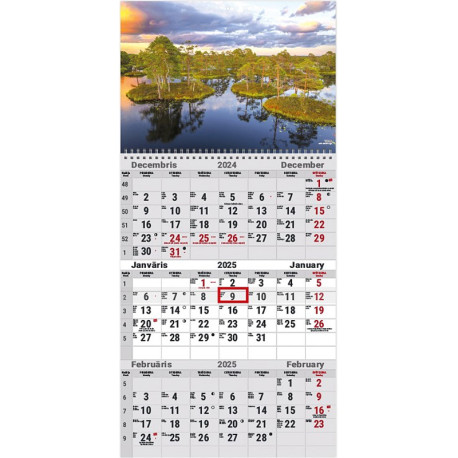 Wall Calendar Office, Timer