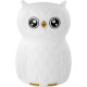 Night Light Owl, Ansmann