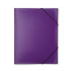 File Folder Docusmart A4 Clear, Veloflex