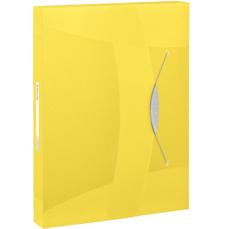 Dokumentu kaste Vivida A4 40mm, Esselte