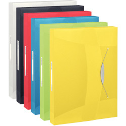 File Box Vivida A4 40mm, Esselte