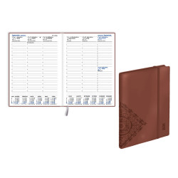 Prestige Trend Chocolate Bronze, Balts