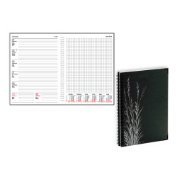 Quadro Trend Grass