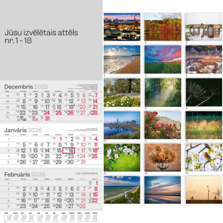 Wall Calendar Primus Stapled, Balts