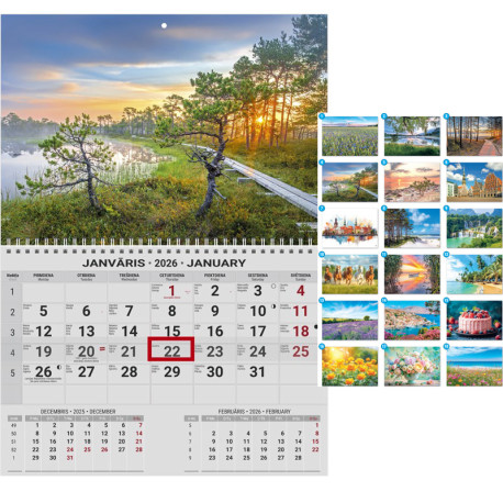 Sienas kalendārs Office Mini, Timer