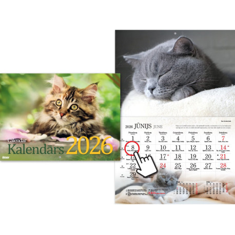 Kaķu kalendārs, Timer