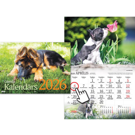 Wall Calendar Dogs, Timer