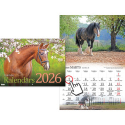 Zirgu kalendārs, Timer