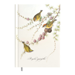 Dienasgrāmata Business Design, Timer