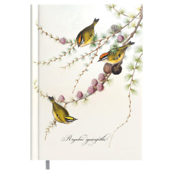 Assistant Design, Timer