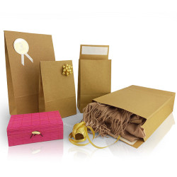 Paper Gift Bags g-Green Brown 270x465x100mm, Bong