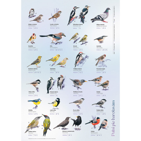 Scratch-off “Birds at the Feeders” (in Latvian)