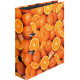 Lever Arch File Fruits A4 8cm, Herlitz
