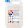Liquid Hand Soap Balsamic 5l, Mayeri