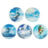 Kletties Winter Sports 5pcs., Ergobag