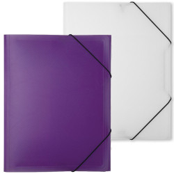 File Folder Docusmart A4 Clear, Veloflex