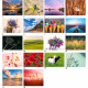 Wall Calendar Bonus, Balts
