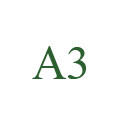 A3