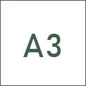 A3