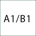 A1/B1