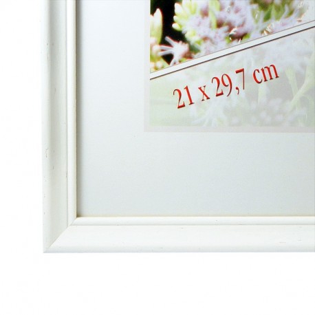 Rāmis fotogrāfijām