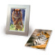 Fotopapīrs A4 250g/m² 15 lapas, Avery Zweckform