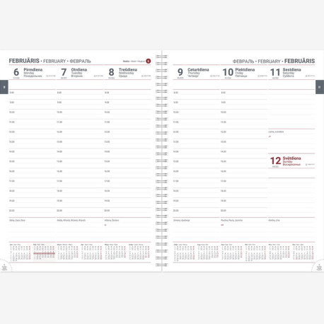 Dienasgrāmata VIP Spiral