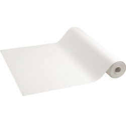 Zīmēšanas papīrs rullī 45cmx35m